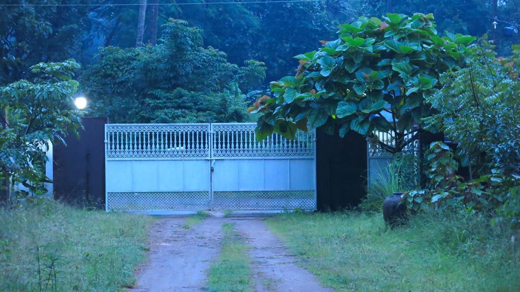 Clayfingers Art Cottage Thrissur Номер фото