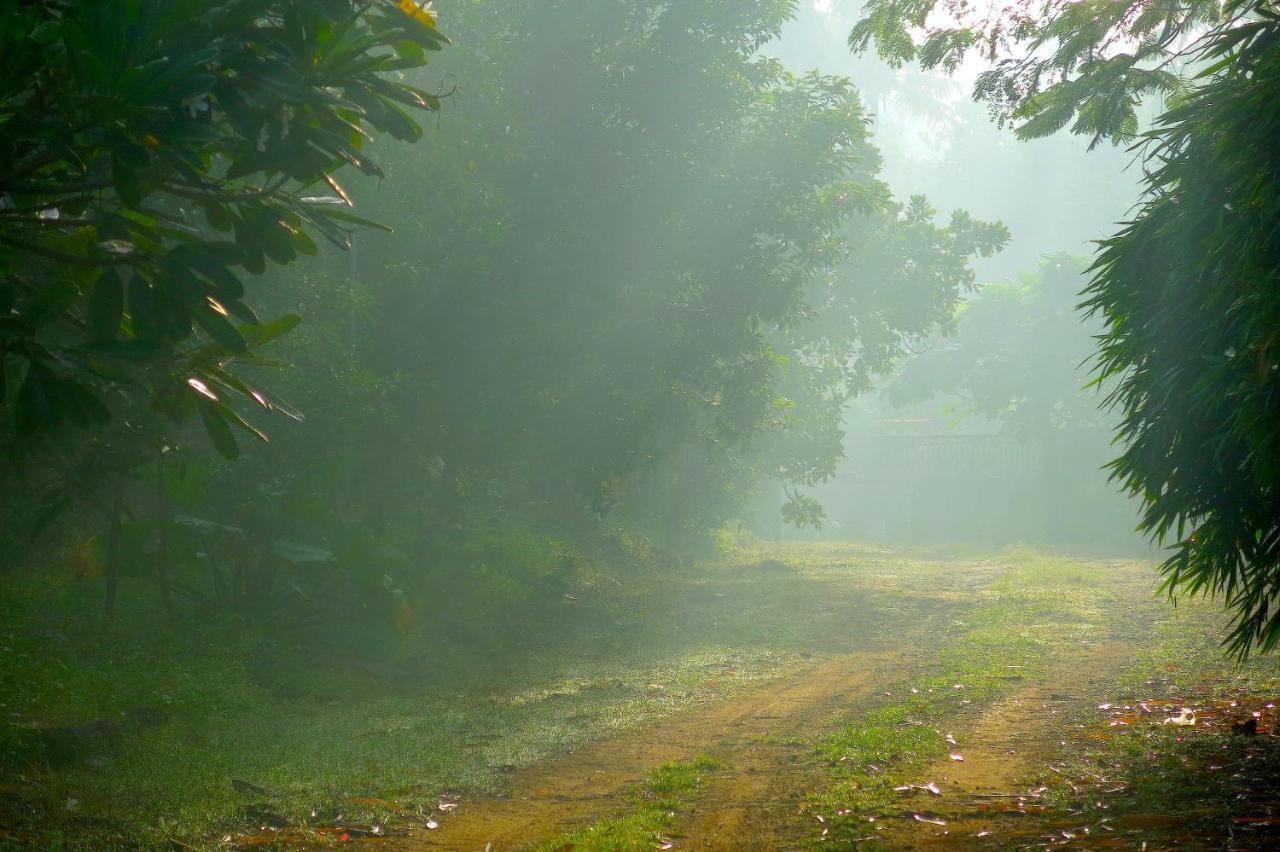 Clayfingers Art Cottage Thrissur Екстер'єр фото