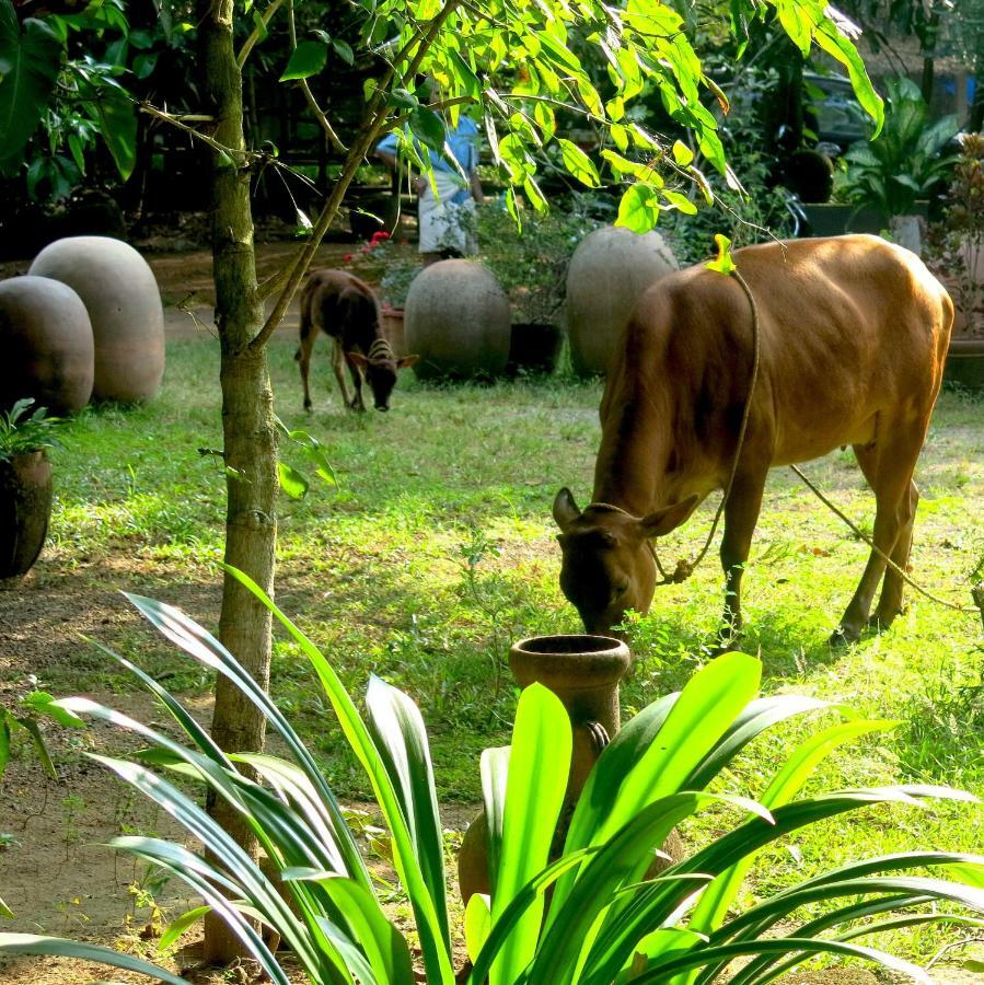 Clayfingers Art Cottage Thrissur Екстер'єр фото